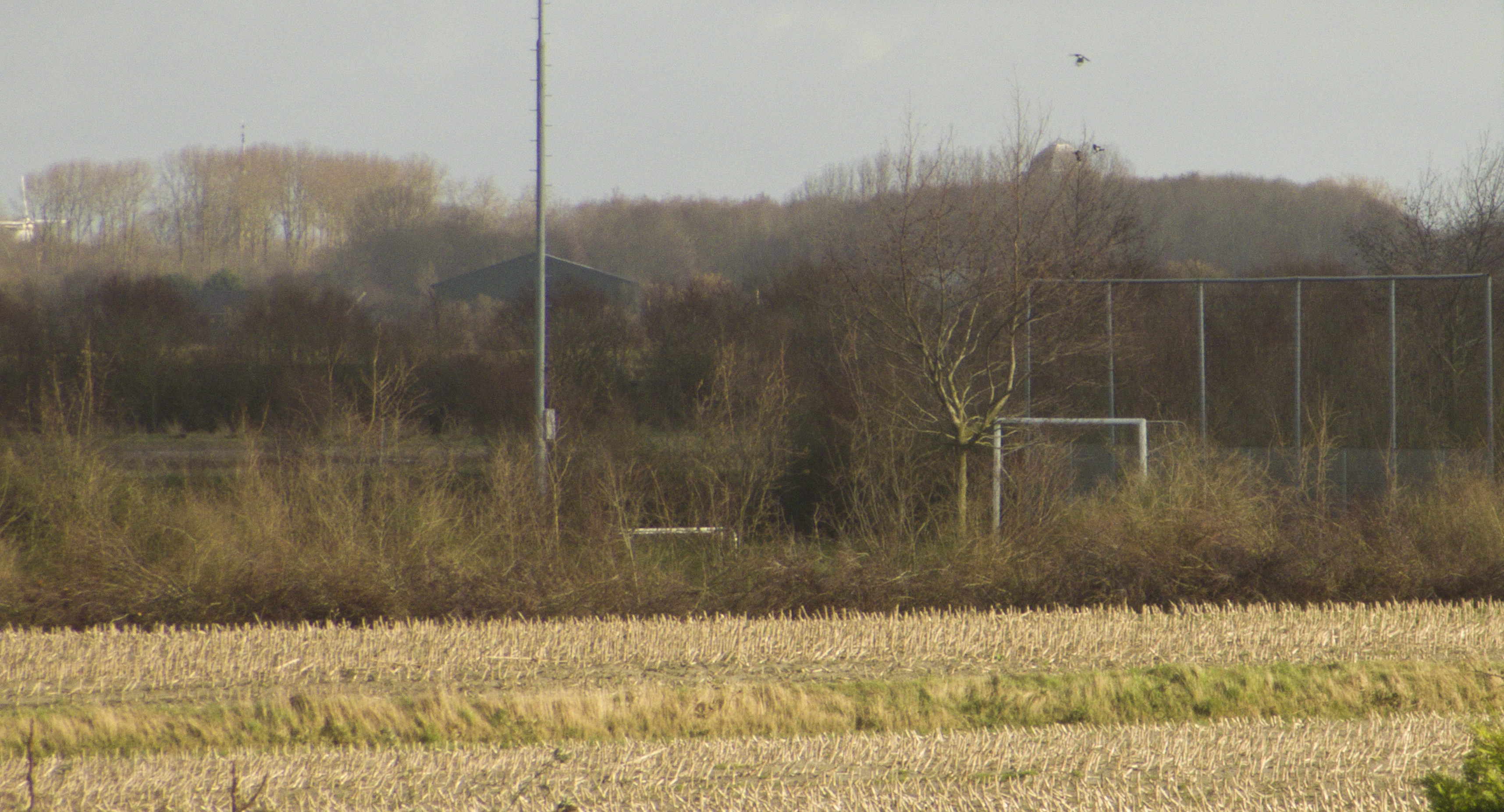 Een foto met een voetbalveld.